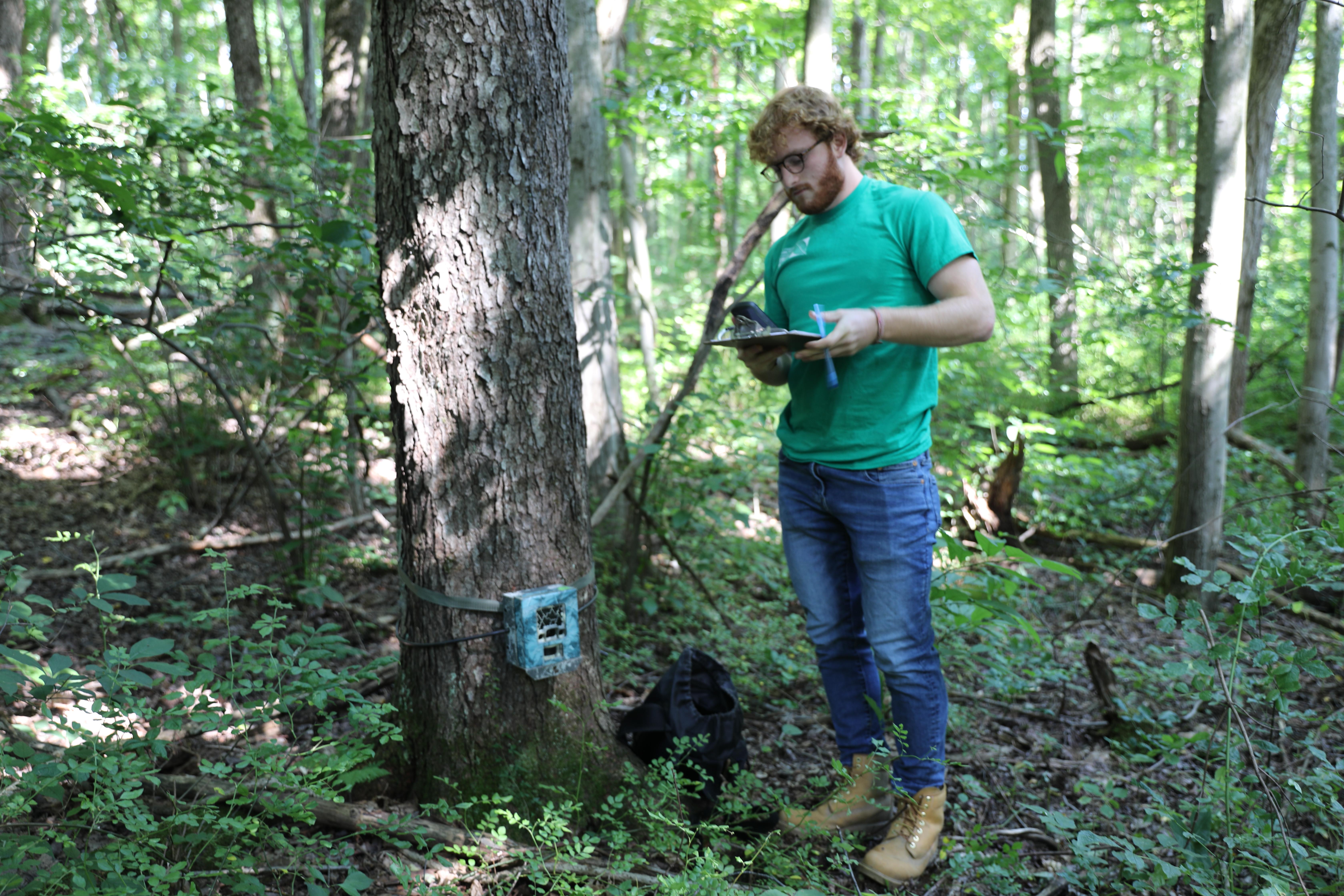 Student attaches a trails camera to a tree at the Nature Center