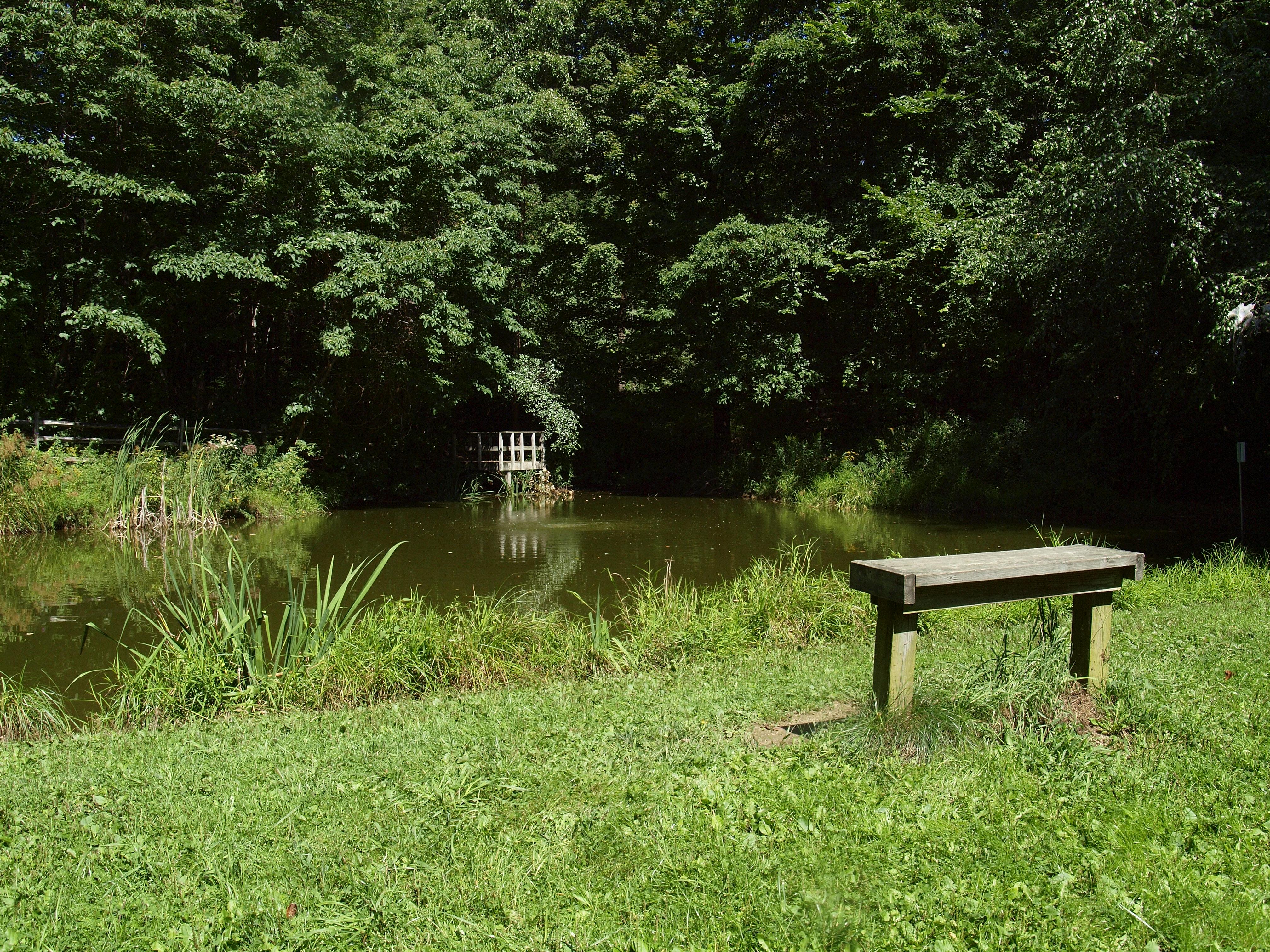 A bench in the grass overlooks a pond on the Nature Center property